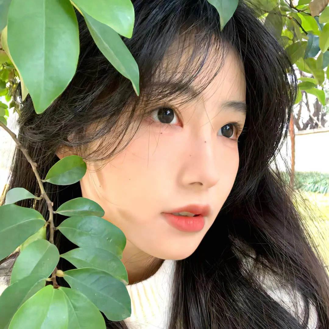 河曲马